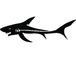 Наклейка акула 005