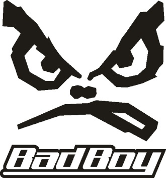 Наклейка bad boy 003