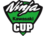 Наклейка kawasaki ninja
